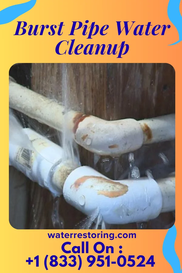 Burst Pipe Water Cleanup in Auburn, GA