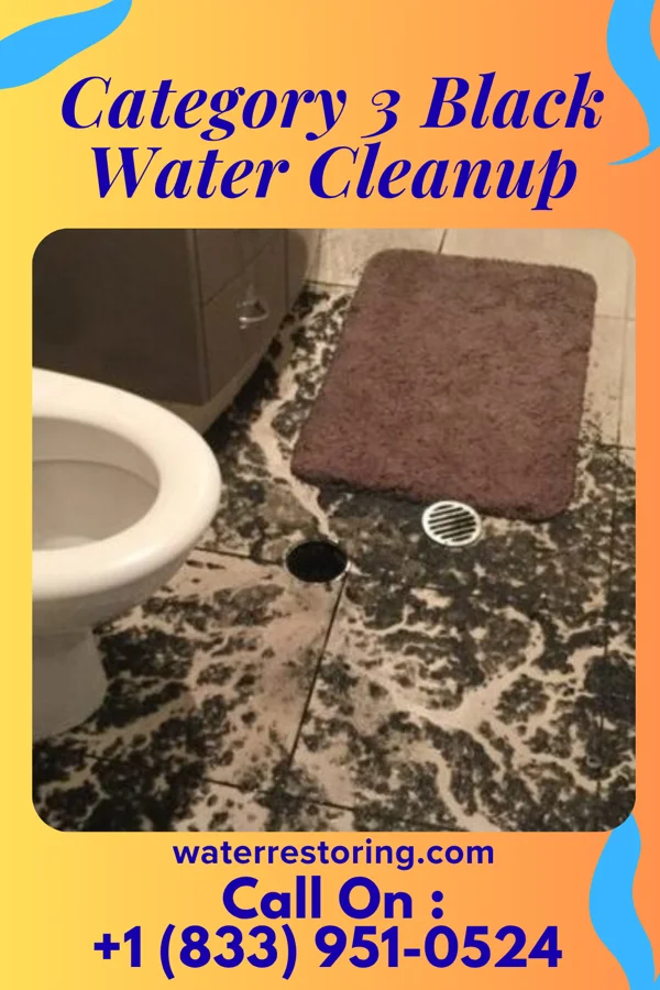 Category 3 Black Water Cleanup in Auburn, GA