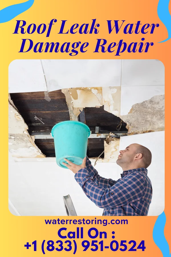 Roof Leak Water Damage Repair in Auburn, GA