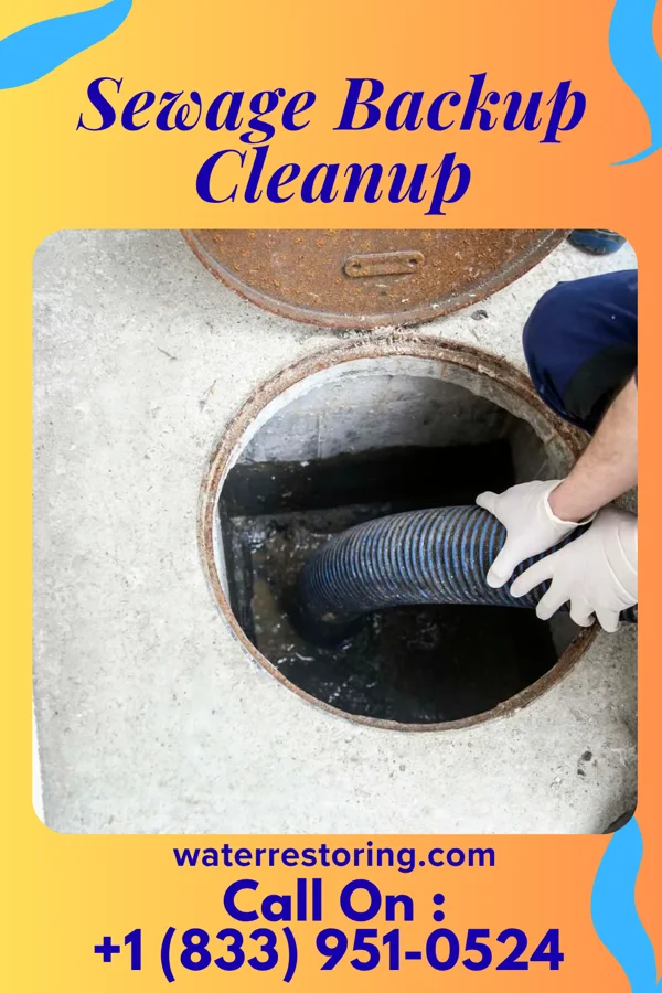 Sewage Backup Cleanup in Auburn, GA